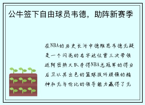 公牛签下自由球员韦德，助阵新赛季